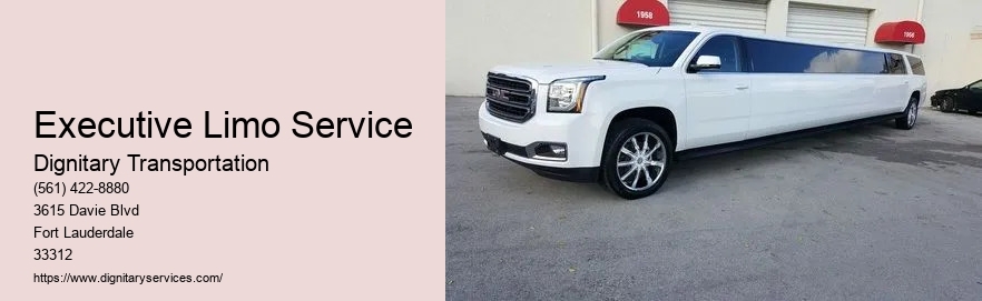 9 Passenger Limo Rental