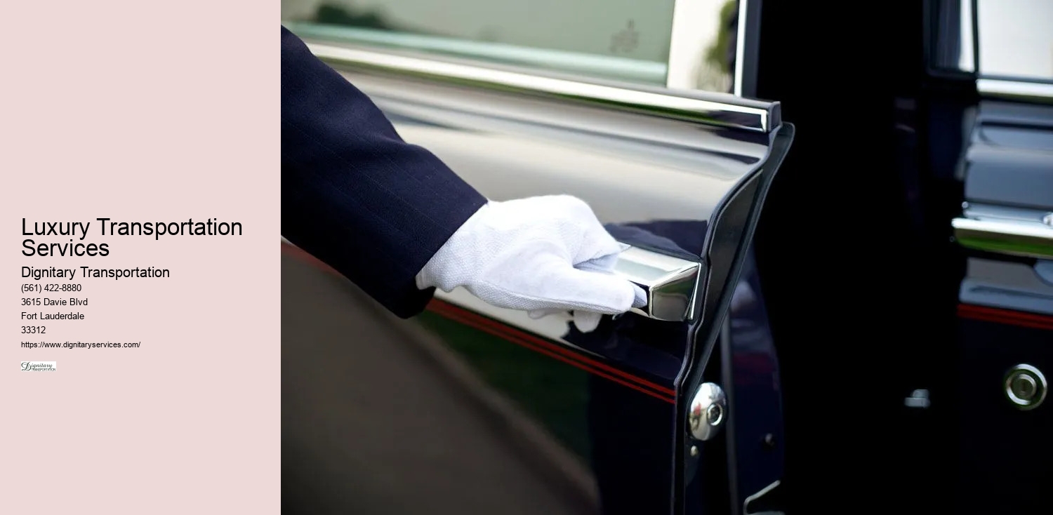 Luxury Transportation Services