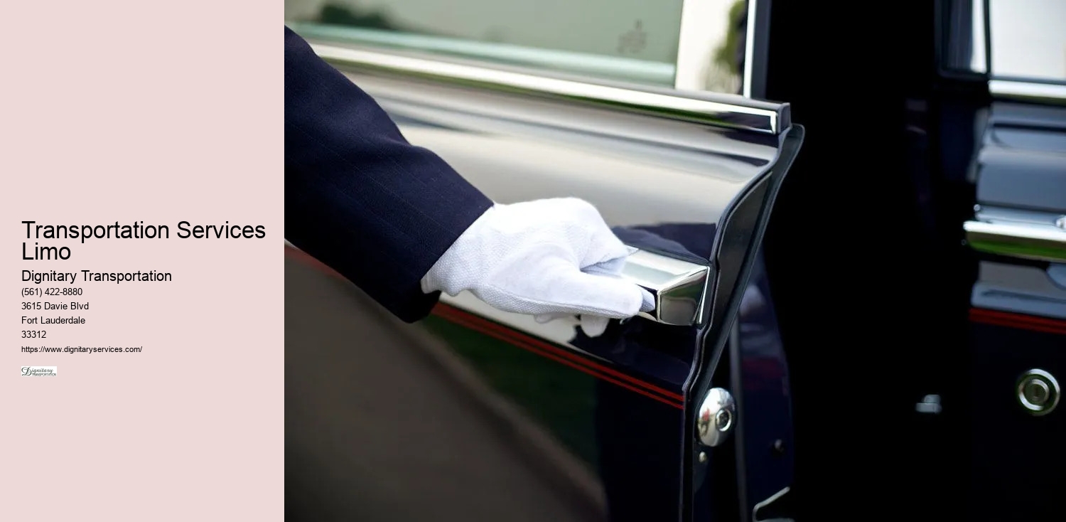 Limousine Service